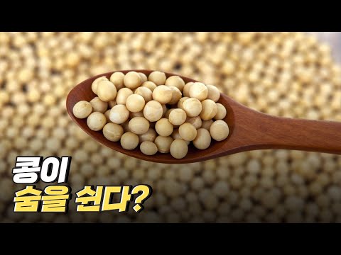 [핫클립] 콩이 이산화탄소를 내뿜는다?