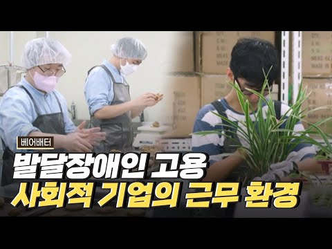 [핫클립] 발달장애인들의 회사 생활은 어떤 모습일까?