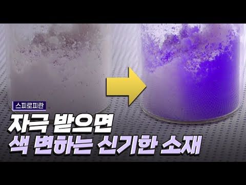 [핫클립] 세계 최초로 스피로피란 분말을 만들다