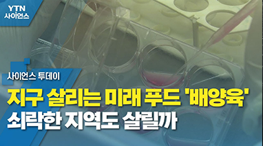 지구 살리는 미래 푸드 '배양육'