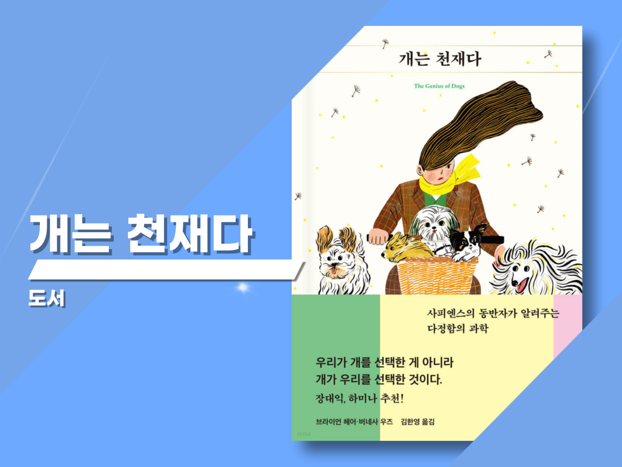 「개는 천재다」